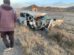 Imagen del accidente