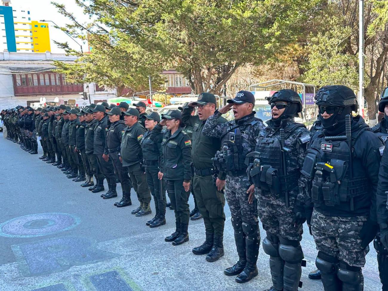 Formación de los policias