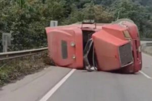 El camión volcó tras dar varias vueltas, tránsito investiga las causas del hecho