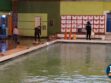 Balneario de Capachos