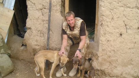 Evacuación de animales de Afganistán por Paul Farthing