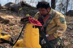 Incendios forestales en Santa Cruz consumen más de 700 mil hectáreas