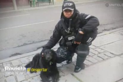 Fallece Negrito el can policía de la UTOP criado por Antelo