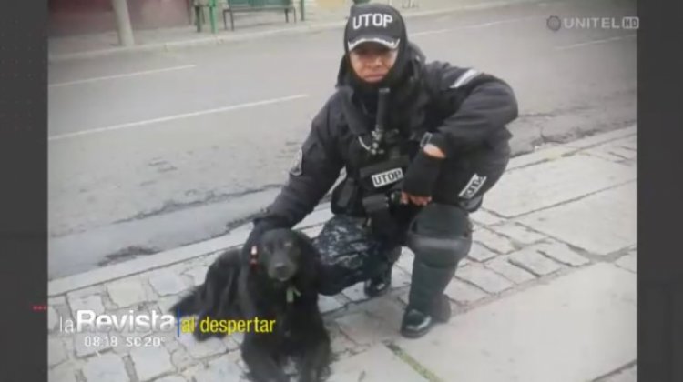 Fallece Negrito el can policía de la UTOP criado por Antelo