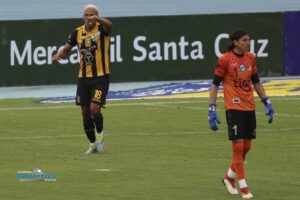 Torneo Único de la División Profesional en Bolivia