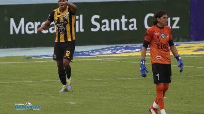 Torneo Único de la División Profesional en Bolivia