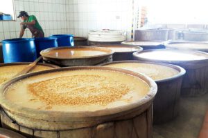 Impuesto a la chicha en Cochabamba