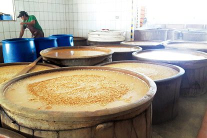 Impuesto a la chicha en Cochabamba