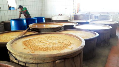Impuesto a la chicha en Cochabamba