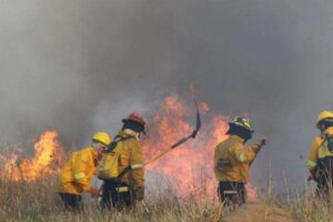 Incendios activos en Santa Cruz
