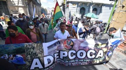 Adepcoca protesta mercado paralelo