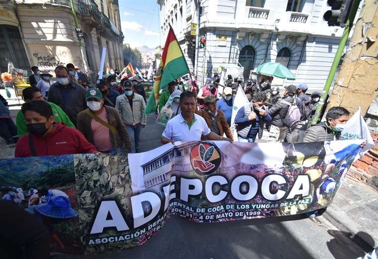 Adepcoca protesta mercado paralelo