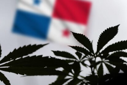 Uso medicinal del cannabis aprobado en Panamá
