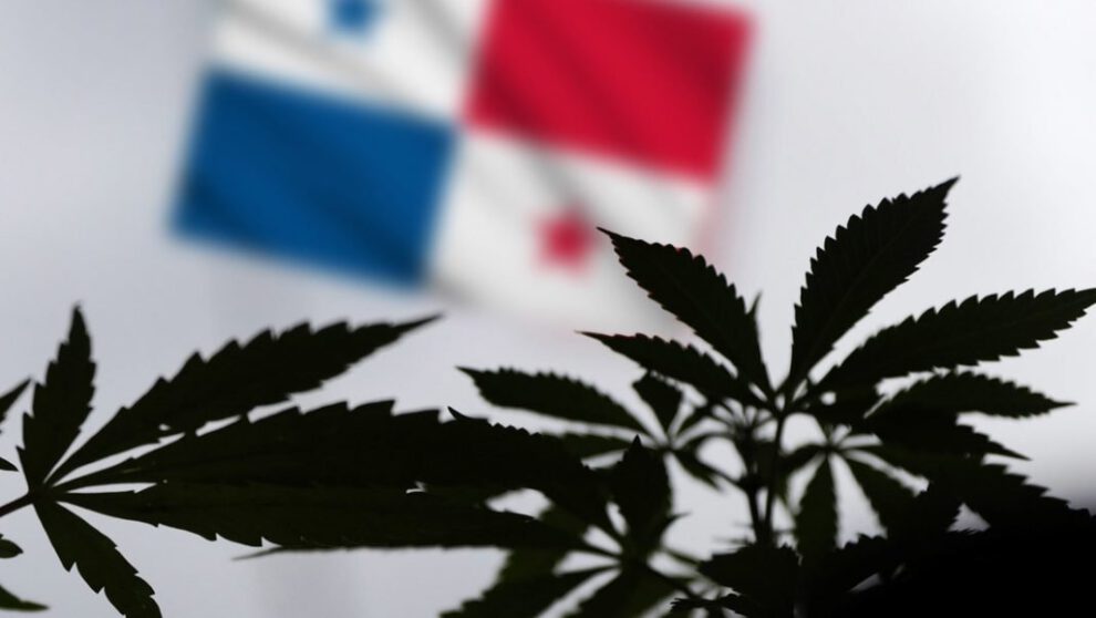 Uso medicinal del cannabis aprobado en Panamá