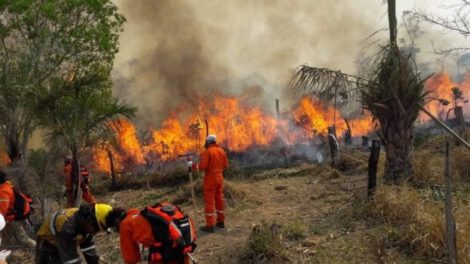 Incendios forestales en Santa Cruz