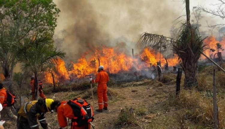 Incendios forestales en Santa Cruz