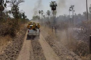Incendios en Santa Cruz controlados en un 95%
