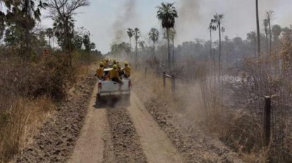 Incendios en Santa Cruz controlados en un 95%