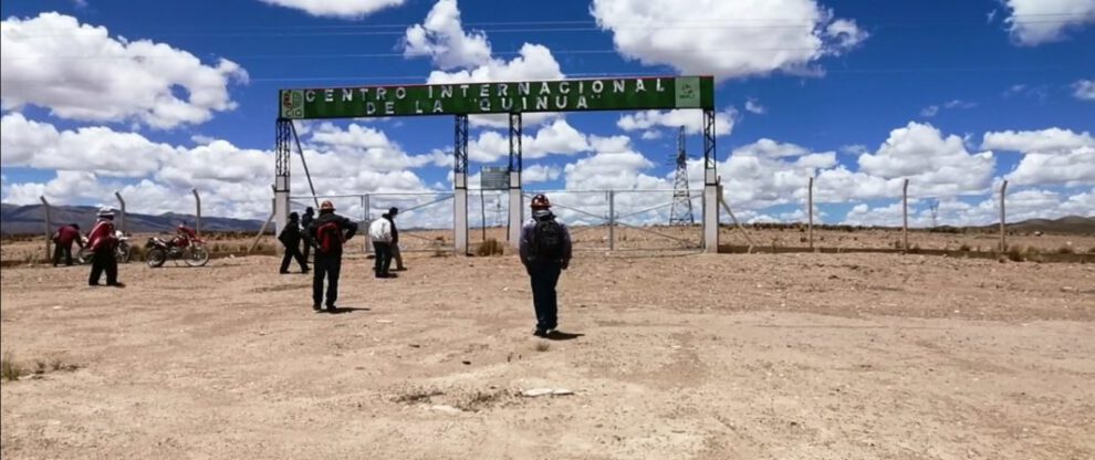 Investigación científica de la quinua en el Centro Internacional de la Quinua