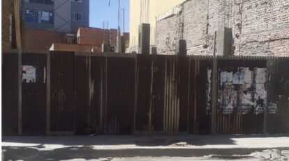 Vecinos denuncian tala de árbol en la calle Potosí