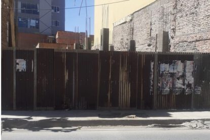Vecinos denuncian tala de árbol en la calle Potosí