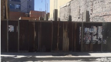 Vecinos denuncian tala de árbol en la calle Potosí