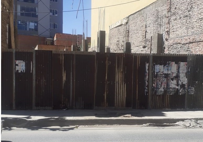 Vecinos denuncian tala de árbol en la calle Potosí