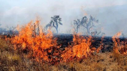 Incendios en Melga afectan más de 500 hectáreas