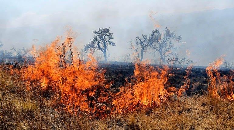 Incendios en Melga afectan más de 500 hectáreas