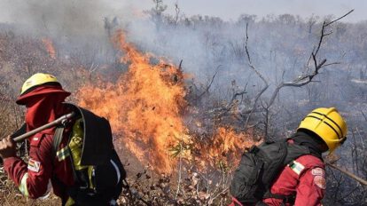 Incendios forestales en Santa Cruz