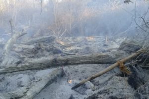 Incendios en Santa Cruz dañan hectáreas