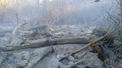 Incendios en Santa Cruz dañan hectáreas