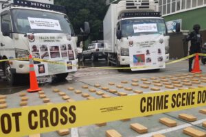 Incautación de droga valuada en medio millón de dólares