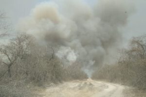Incendios en San Matías afectan flora y fauna