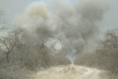 Incendios en San Matías afectan flora y fauna