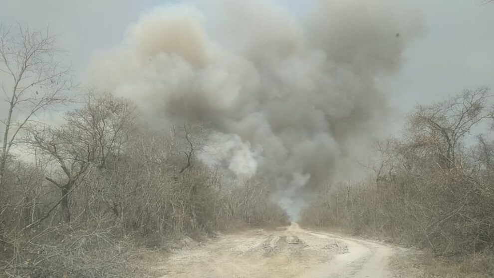 Incendios en San Matías afectan flora y fauna