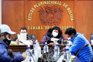 Juicio de responsabilidades Añez en la Comisión Mixta de Justicia