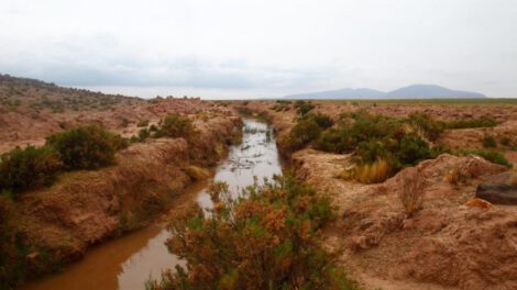 Calidad y cantidad de agua que llega al Lago Poopó