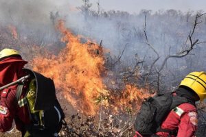 Incendios forestales en Santa Cruz