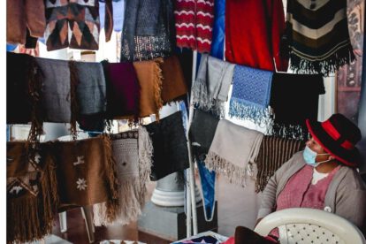 Apoyo a productores camélidos en Oruro