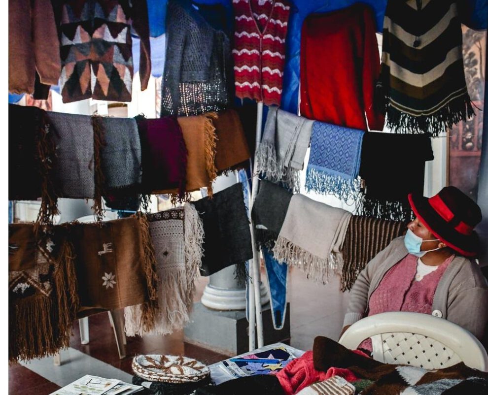 Apoyo a productores camélidos en Oruro