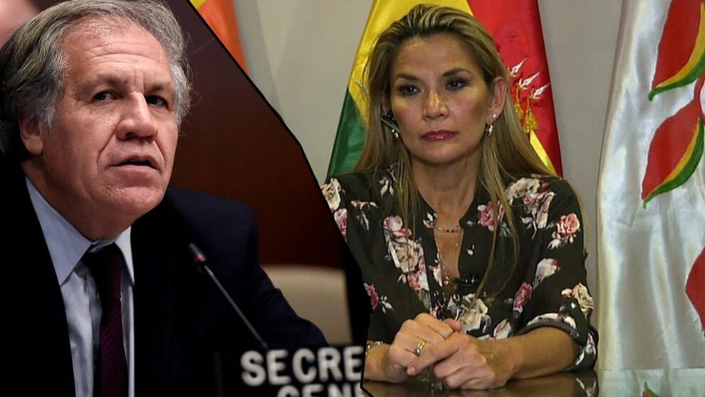 Añez a Almagro sobre la situación de los presos políticos en Bolivia