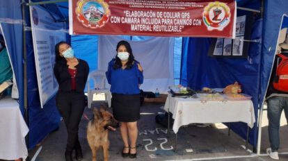 collar GPS para canes creado por estudiantes de veterinaria