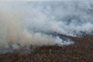 Incendios forestales en Santa Cruz