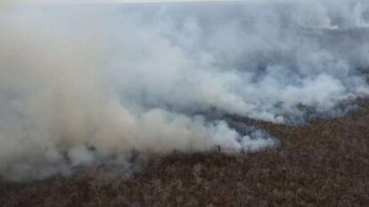Incendios forestales en Santa Cruz