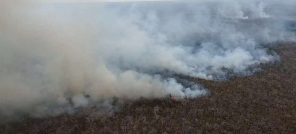 Incendios forestales en Santa Cruz
