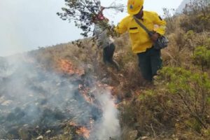 Incendio en El Palmar consumió casi un millar de hectáreas