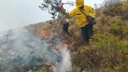 Incendio en El Palmar consumió casi un millar de hectáreas