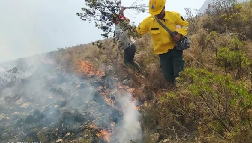 Incendio en El Palmar consumió casi un millar de hectáreas