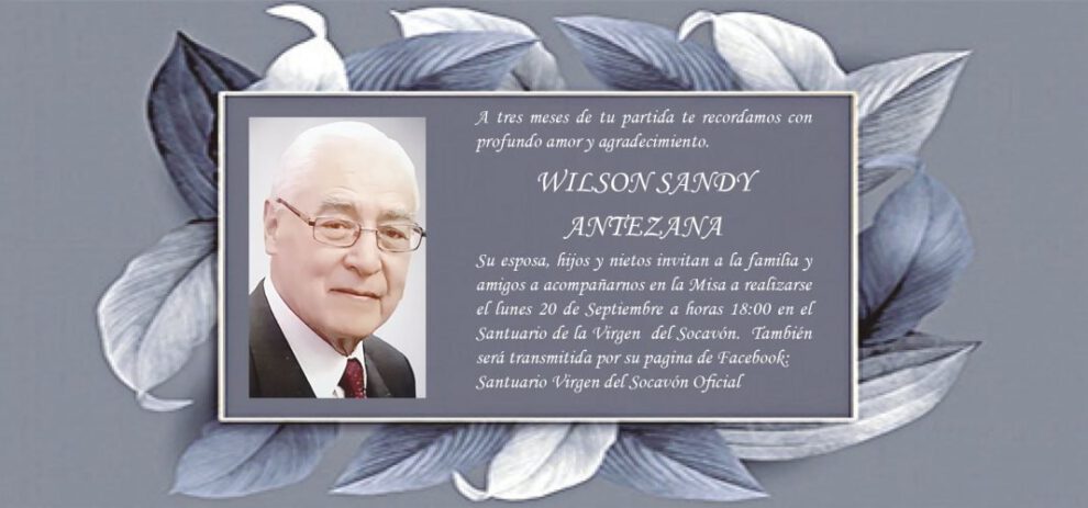 Wilson Sandy Antezana